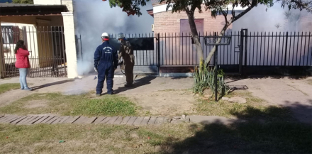 dengue.jpg
