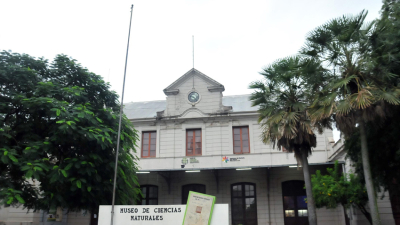 Los museos se quedan vacíos en su Día Internacional