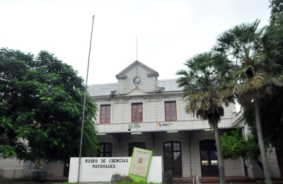 Los museos se quedan vacíos en su Día Internacional