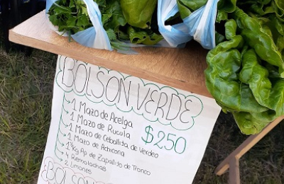 Naranjas y mandarinas, lo nuevo en la feria verde en la Terminal 