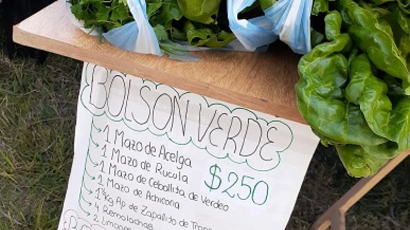 Naranjas y mandarinas, lo nuevo en la feria verde en la Terminal