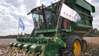 Gensus anuncia línea especial de financiamiento para la próxima siembra de algodón