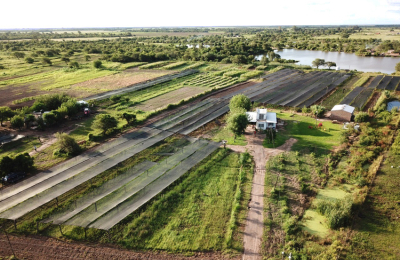 Frutas y verduras en el Chaco, el objetivo que los productores están dispuestos a alcanzar