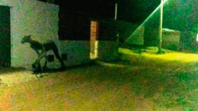Tucumán: gritos desgarradores aterraron a pobladores de una localidad