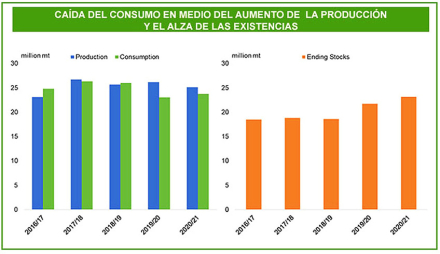 grafico.jpg