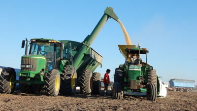 Más de 50 productores y empresas agropecuarias poseen acreencias con el Grupo Vicentin