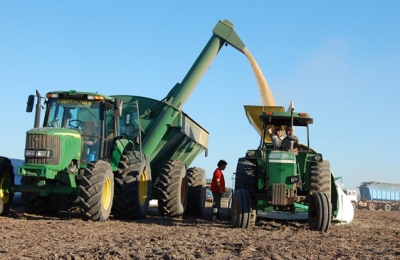 Más de 50 productores y empresas agropecuarias poseen acreencias con el Grupo Vicentin