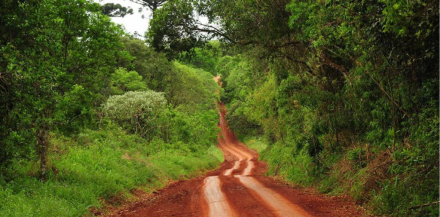 ruta yerba2.jpg