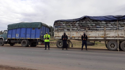 Secuestran camión con 28 mil kilos de carbón cuya guía forestal era falsa