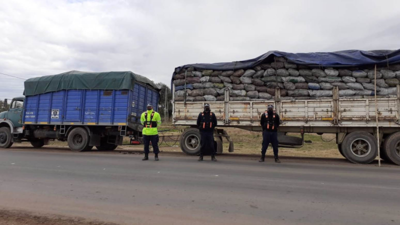 Secuestran camión con 28 mil kilos de carbón cuya guía forestal era falsa