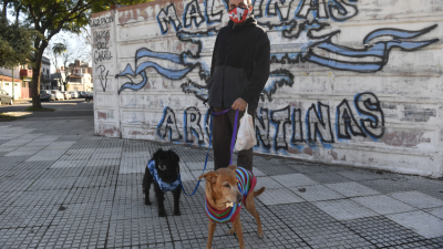 Confirmaron 26 nuevas muertes y 2439 contagios en las últimas 24 horas