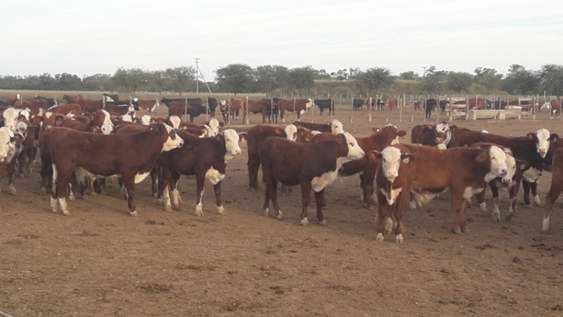 Hay plena coincidencia en el lanzamiento de Tuya Rural