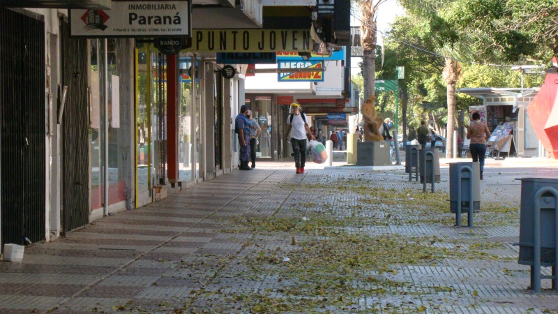 Aseguraron que en el Chaco en un año cayeron 147 empleadores