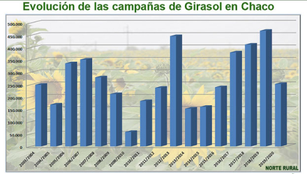 Campañas-de-GIRASOL-Chaco.jpg