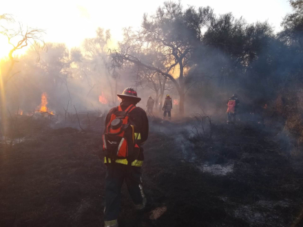 58bomberos fuego.jpeg