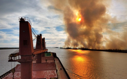 incendios en el Paraná.jpg