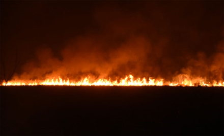 incendios3.jpg