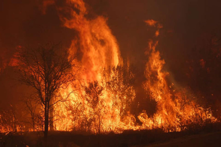 incendio3.jpg
