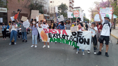 Ciudadanos marcharon en Resistencia contra los desmontes y el acuerdo porcino con China