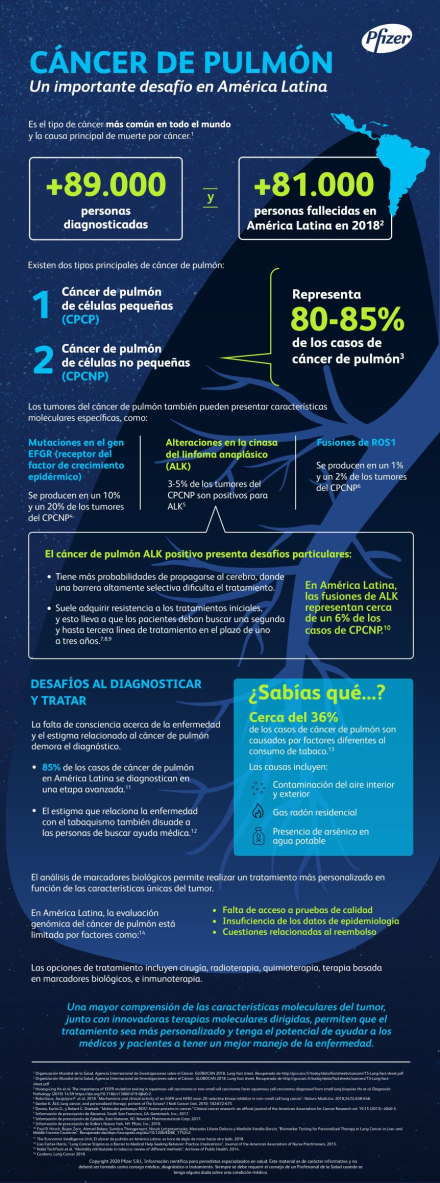 infografa---cncer-de-pulmnrevisadapage-0001.jpg