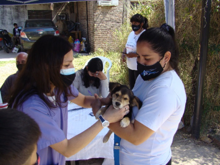 perro 4.jpg