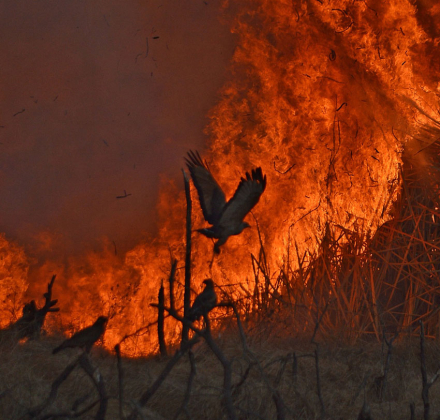 incendio.jpg