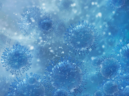 virus.jpg