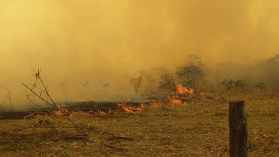 Más de 9.000 hectáreas consumidas por los incendios en la Isla del sol