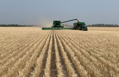 El campo no debe entretenerse para no perder los objetivos