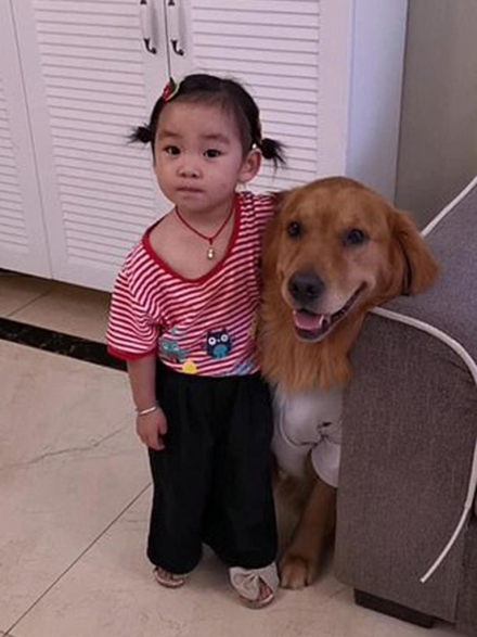perro2.jpg