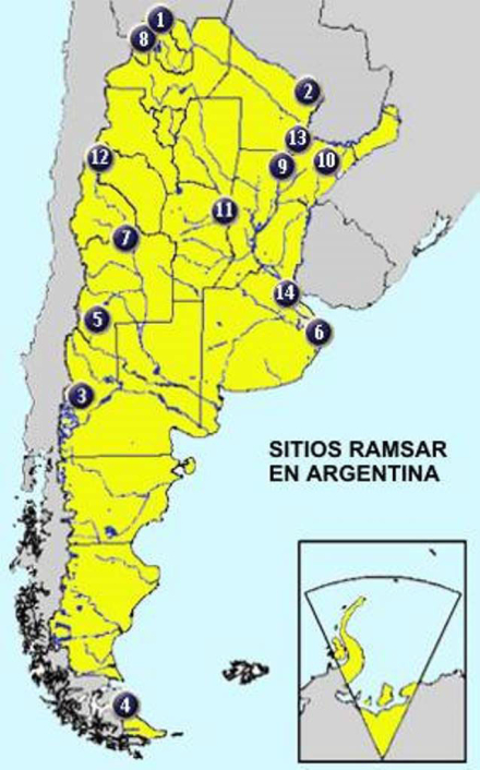 humedales6.jpg