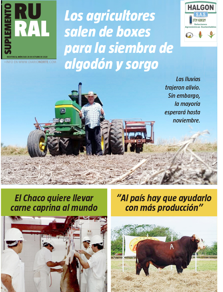 Los agricultores salen de boxes para la siembra de algodón y sorgo