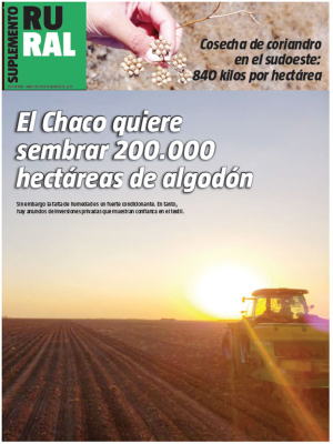 El Chaco quiere sembrar 200.000 hectáreas de algodón