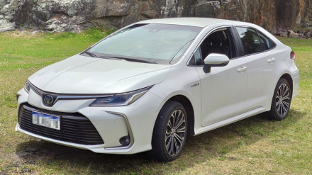 corolla.jpg