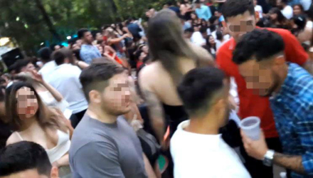fiesta2.jpg