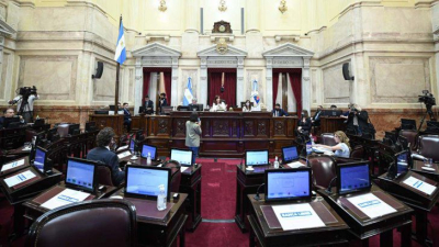 El Senado convirtió en ley el aporte solidario que alcanza a casi 12.000 personas