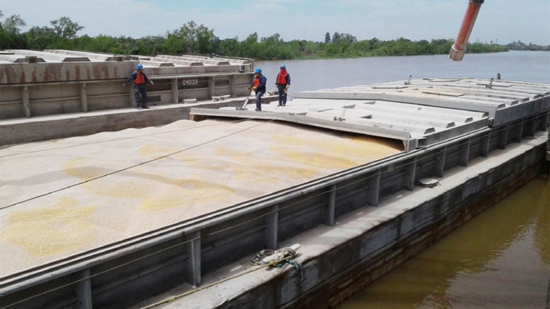 Exportaciones: el ingreso de divisas al Chaco casi se duplicó en cinco años