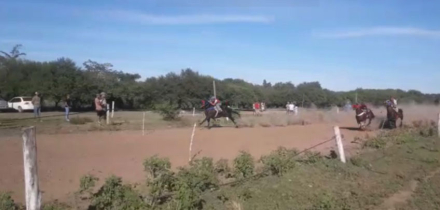 caballos3.jpg