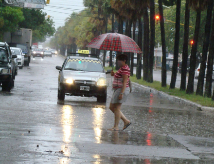 lluvia enero 1.JPG