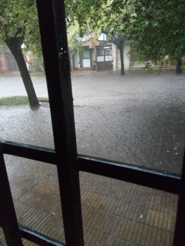 Ameghino al 100.