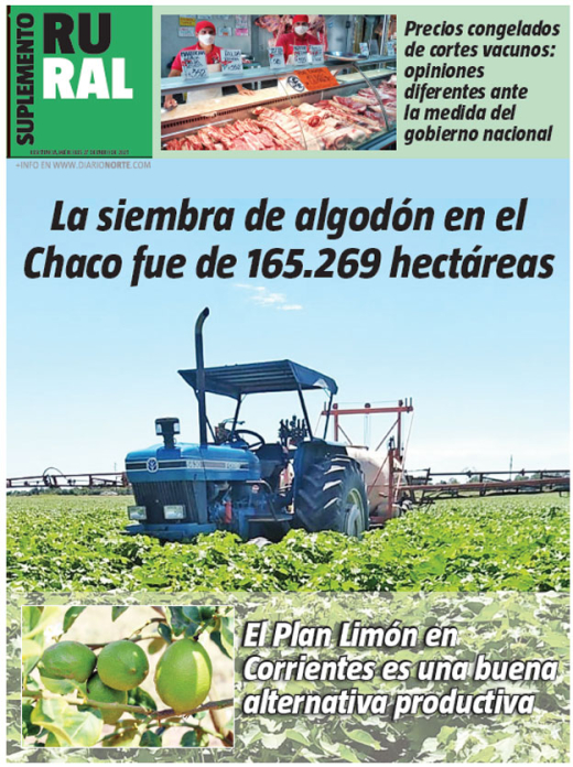 La siembra de algodón en el Chaco fue de 165.269 hectáreas