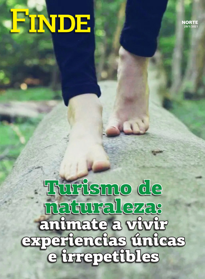 Turismo de naturaleza: animate a vivir experiencias únicas e irrepetibles