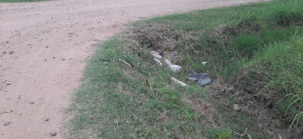 basura Charata 2.jpg