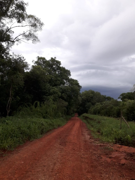 Epígrafe 1 - foto selva de ruta 7.jpg