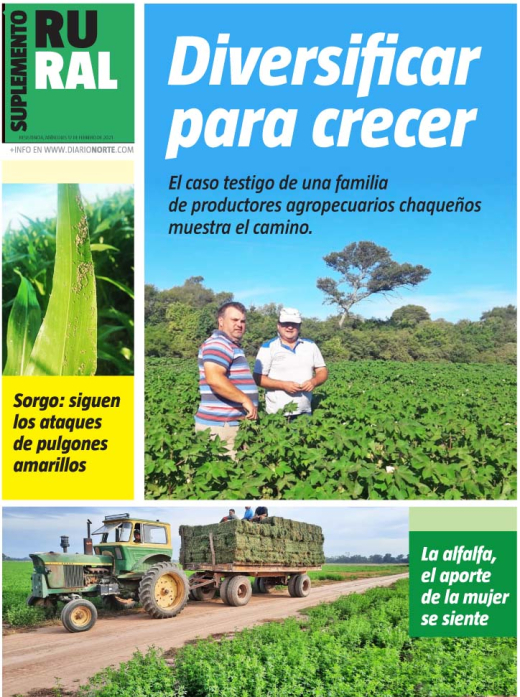 Diversificar para crecer