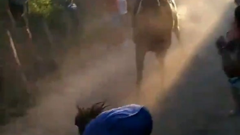 Embarazada arrollada por un caballo en una carrera clandestina