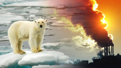 Hay que poner fin a la “guerra suicida” contra la naturaleza   