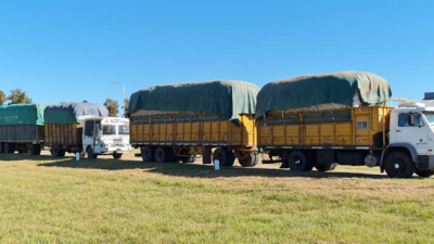 Sube en febrero la tarifa para el transporte de granos, cereales y oleaginosa