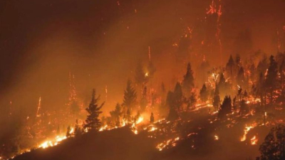 Aterradoras imágenes de los incendios en la Patagonia