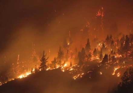 patagonia incendios.jpg
